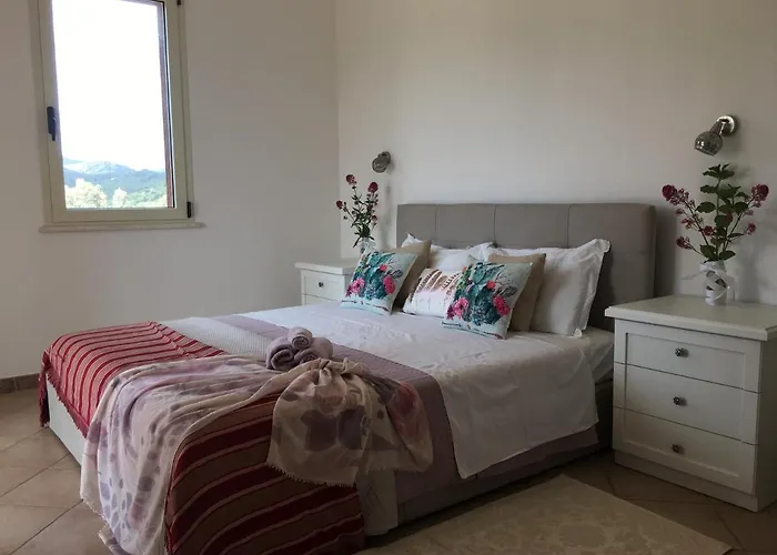 La Vigna * Domus de Maria